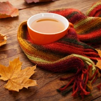 Snack ideas for autumn/Winter!